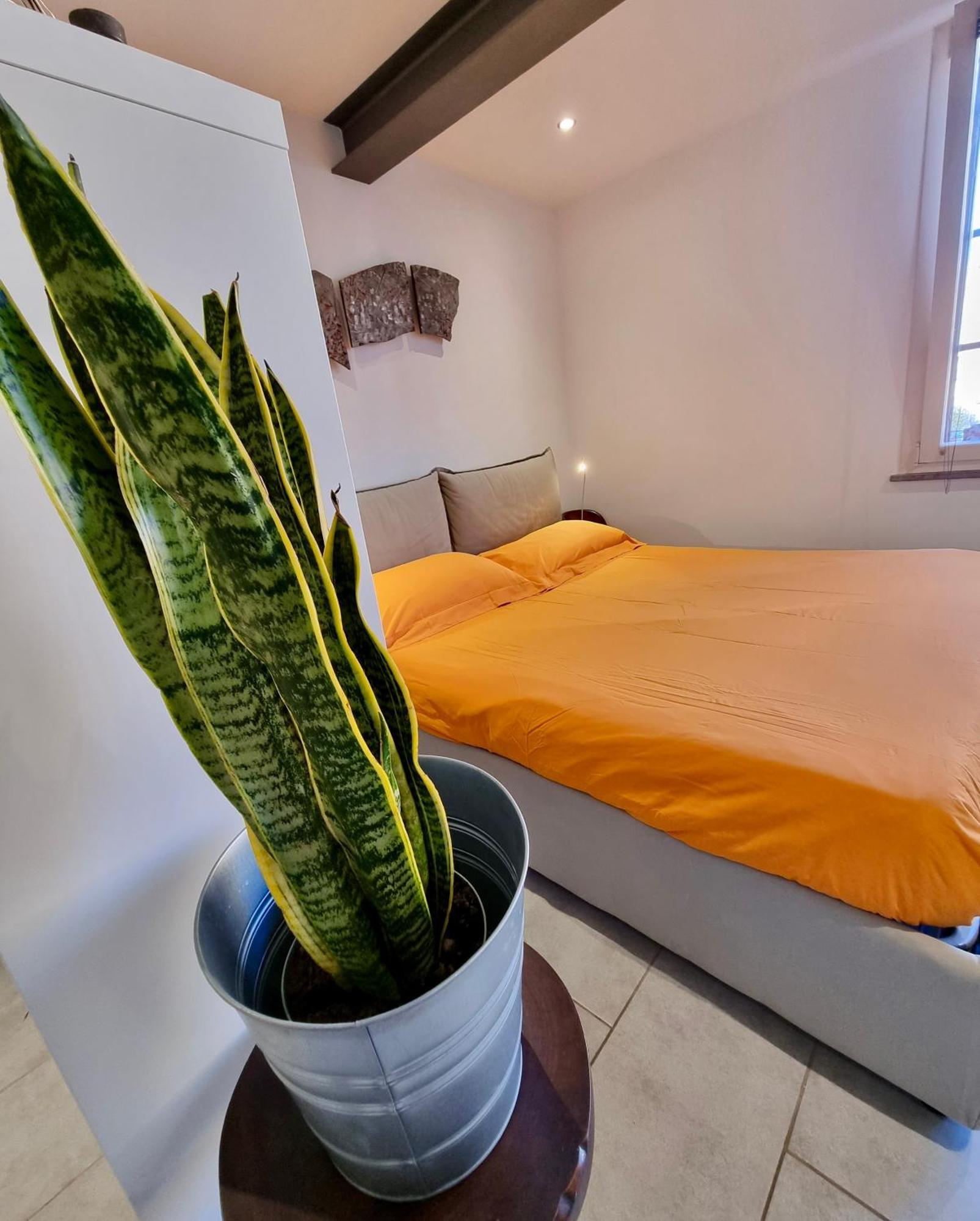 Apartamento Poetico Monolocale Indipendente Nell'antico Pastificio *